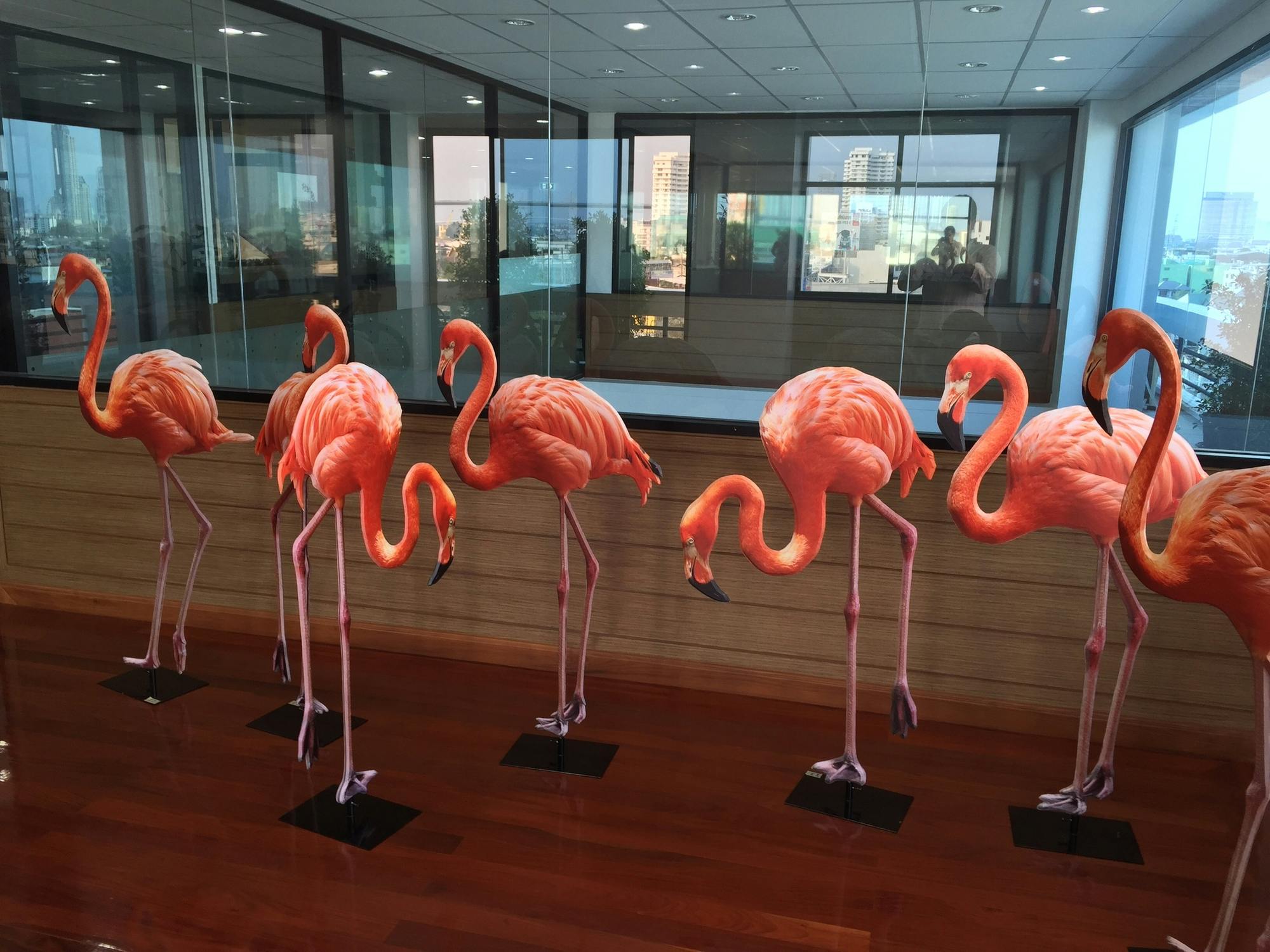 Flamingo group © swissQprint 