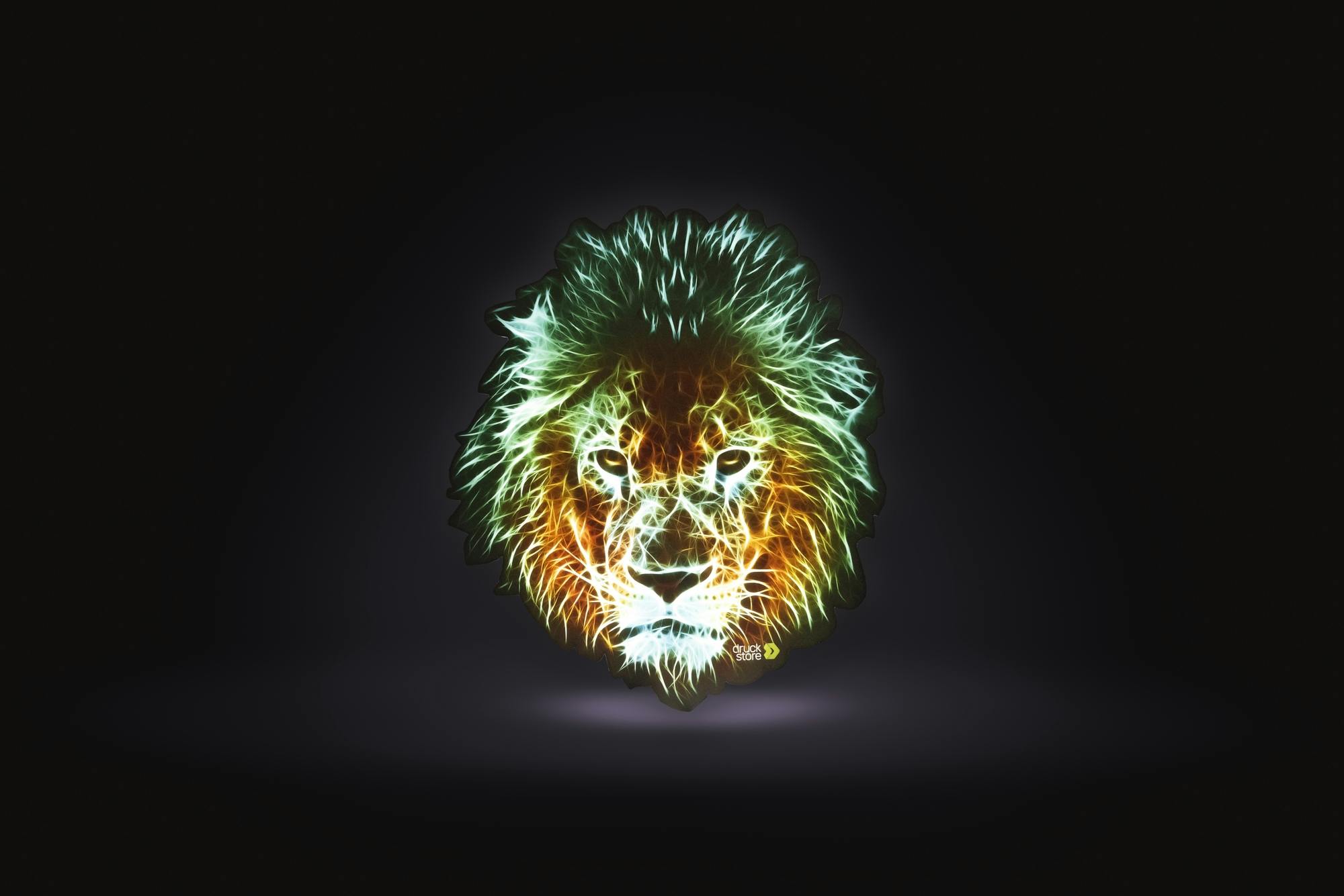 3D Lion Overview © swissQprint 